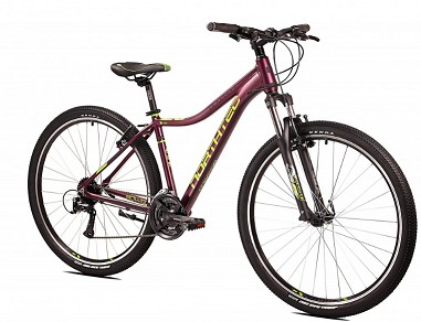 ROWER NORTHTEC SOWELO 29  VB AC 