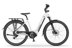 ROWER ELEKTRYCZNY ECOBIKE LX300 36V25AH LG 